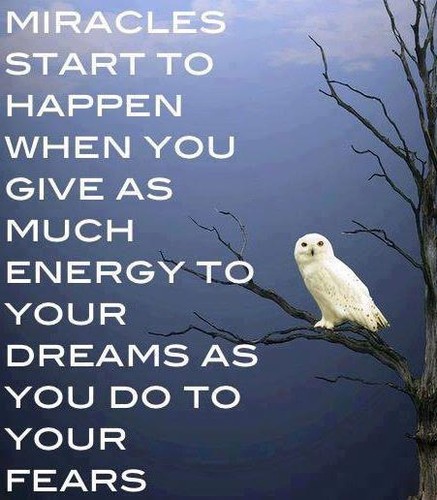 Miracles