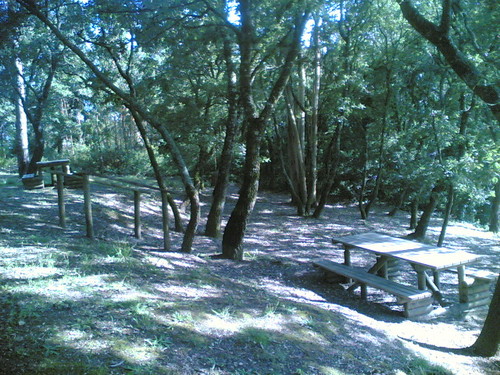 Parque de Merendas de Gatões: Mesas (M-o-V)