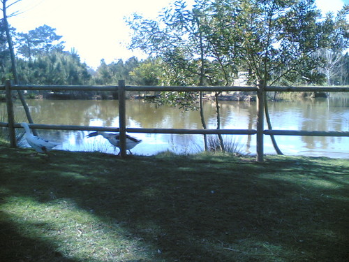 Lagoa das Queridas, Ferreira-a-Nova