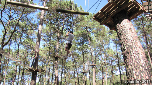 Parque Aventura: Slide entre árvores