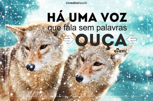 voz22.jpg voz22.jpg
