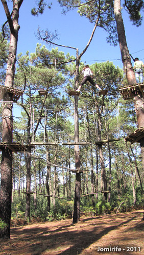 Parque Aventura: Pelas plataformas