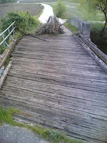 Antiga ponte de madeira em Pelames