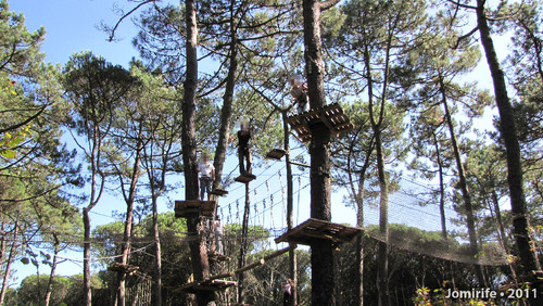 Parque Aventura: Visão do que lhes espera