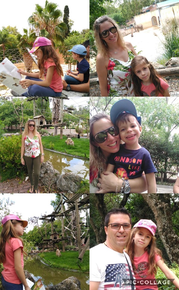 Collage 2017-08-31 23_19_37.jpg Collage 2017-08-31 23_19_37.jpg