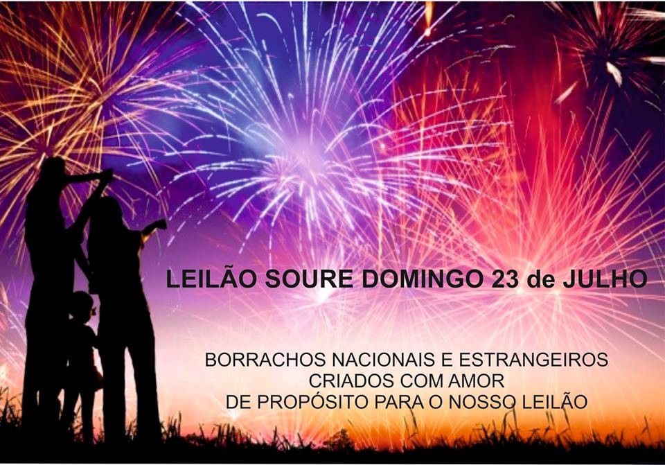 Leilão Soure.jpg Leilão Soure.jpg
