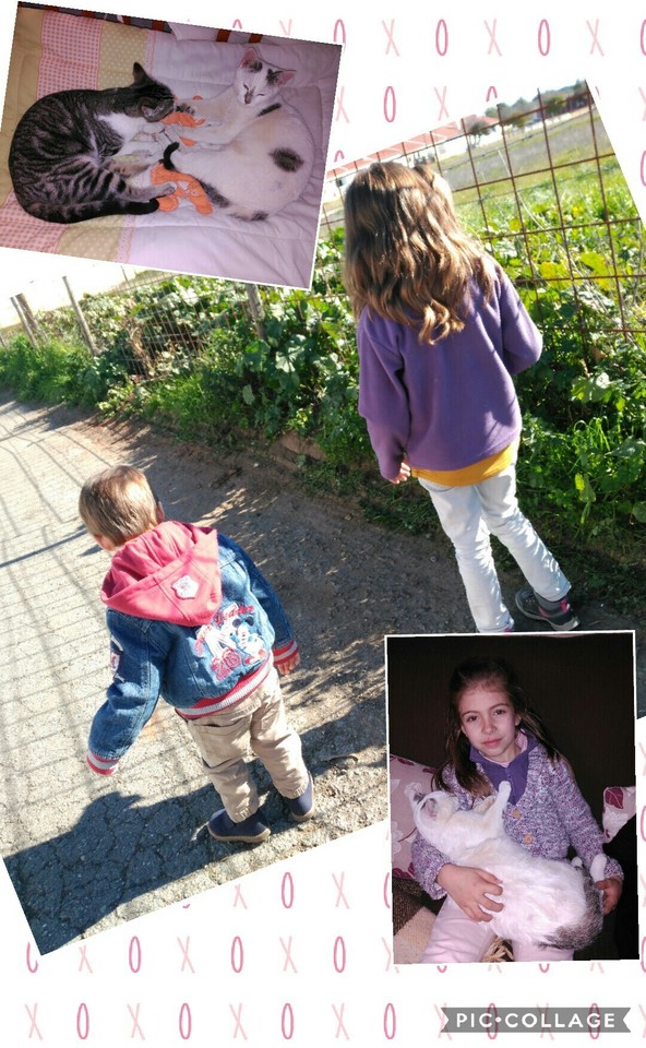 Collage 2017-02-15 23_55_31.jpg Collage 2017-02-15 23_55_31.jpg