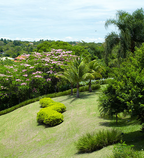 sao josé temer-sustentabilidade..jpg sao josé temer-sustentabilidade..jpg