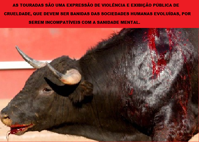 TOURADAS.png TOURADAS.png
