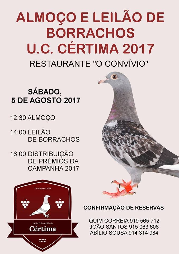 Leilão Cértima.jpg Leilão Cértima.jpg