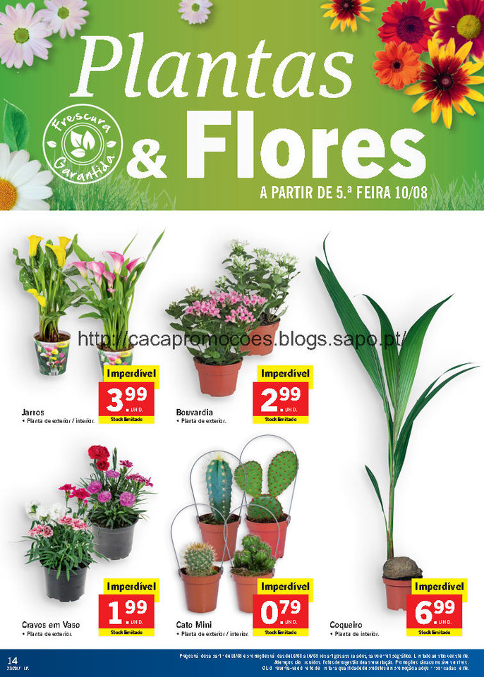 lidl antevisão folheto_Page14.jpg