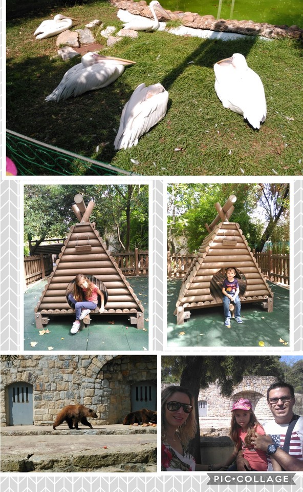 Collage 2017-08-31 23_16_03.jpg Collage 2017-08-31 23_16_03.jpg