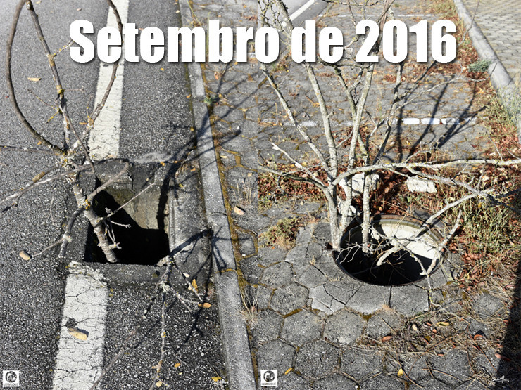 01 Setembro 2016 - 740.jpg 01 Setembro 2016 - 740.jpg