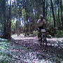 Coimbra XCM BTT Abrunheira - Bike no pinhal (3)