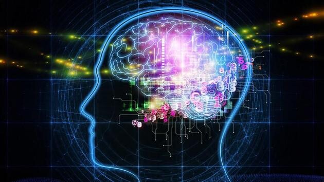 Brain_Illustration.jpg