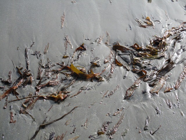 240422285_841314646526612_6042986104611131705_n.jp