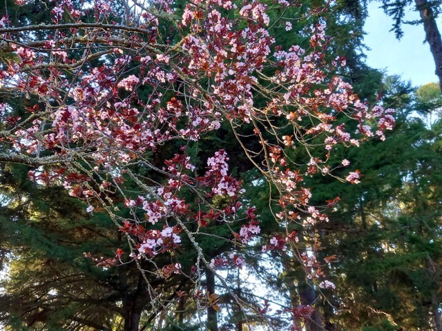 336861815_721616876303794_4024558616197920616_n.jp