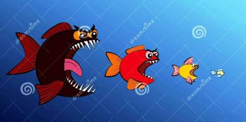o-peixe-grande-come-cadeia-alimentar-menor-de-peix o-peixe-grande-come-cadeia-alimentar-menor-de-peix