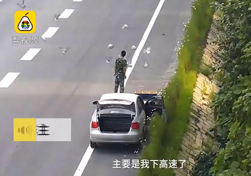 HD Homem solta pombos no meio da autoestrada.jpg