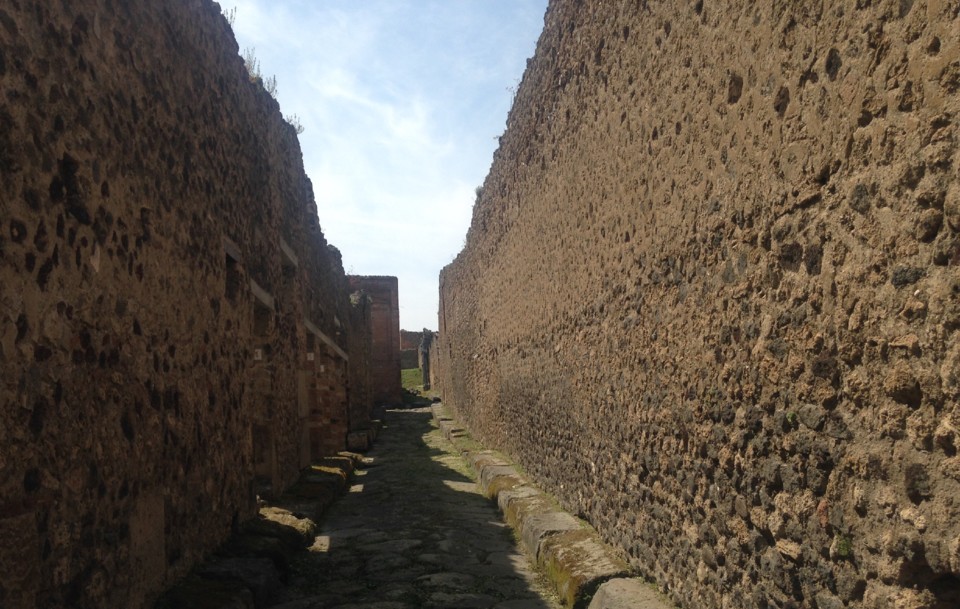 IMG_0915.jpeg IMG_0915.jpeg