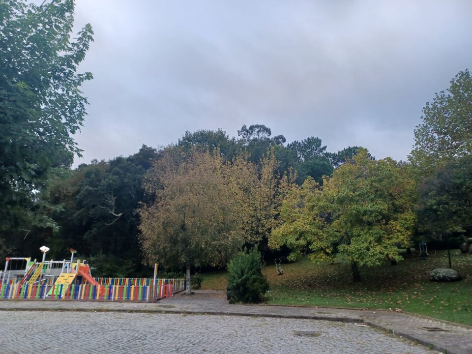 311712635_533108958820326_3160595527641568445_n.jp