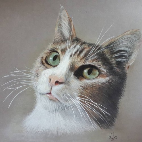 36240658_1520265758085372_7297990446335131648_n.jp 36240658_1520265758085372_7297990446335131648_n.jp