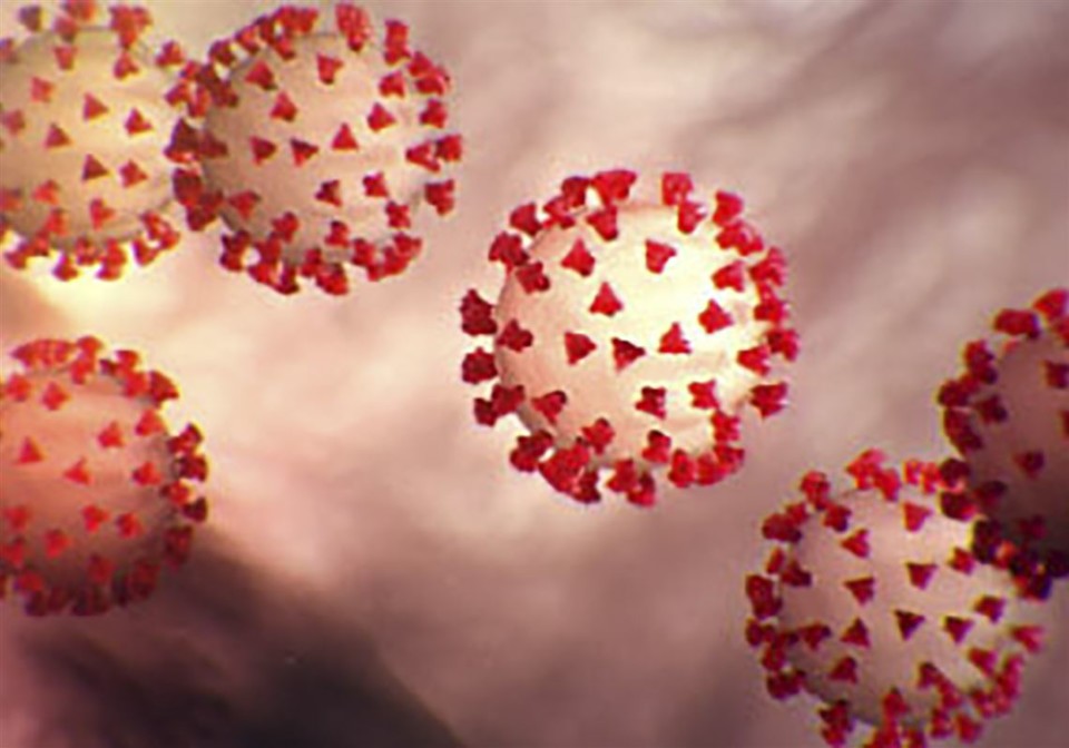 US-HEALTH-VIRUS-5-1583366526.jpg