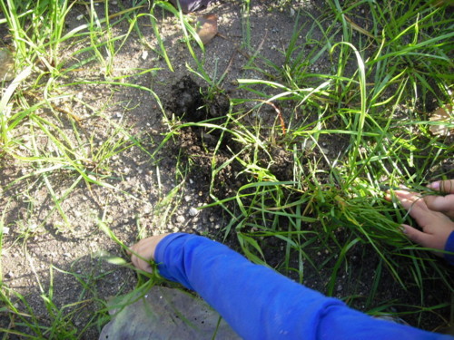 SDC11471.JPG SDC11471.JPG