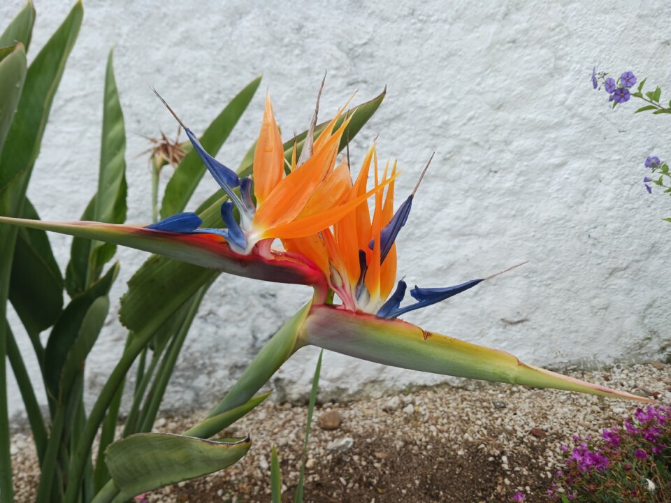 20260502_153526.jpg