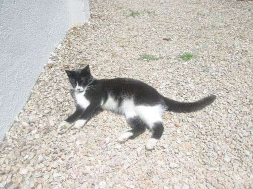 IMG_5725.JPG IMG_5725.JPG