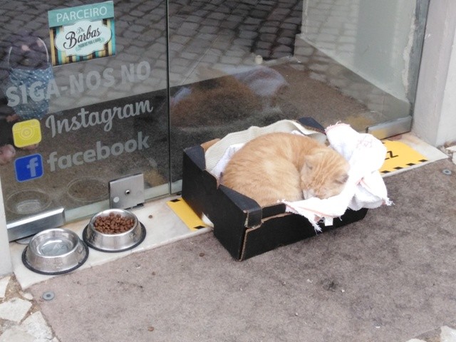 IMG_20200709_090446 - Cópia.jpg