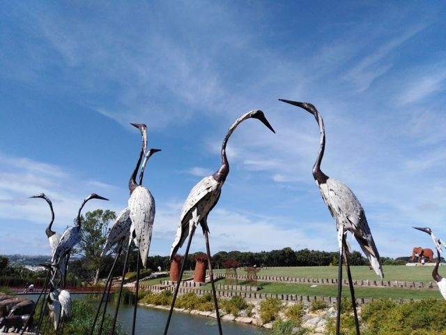 116796951_3104354343013183_7612720324854023859_o.j