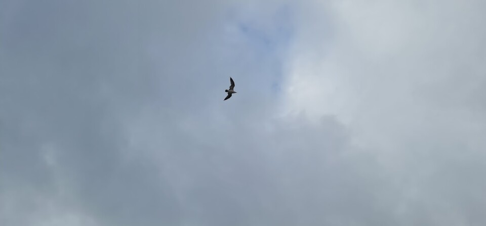 20250713_180123.jpg