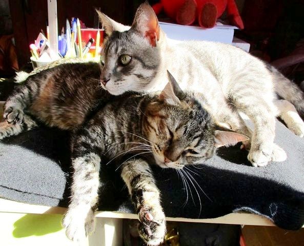 Relação amor-ódio .jpg Relação amor-ódio .jpg