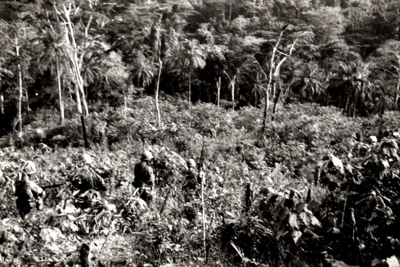 ...Angola61-Matas da zona de Mucabar.jpg