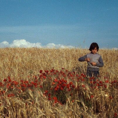 464277508_10228165232778035_6036560845216115332_n.