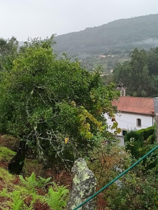 Não me canso disto Trail Pé do Negro.jpg