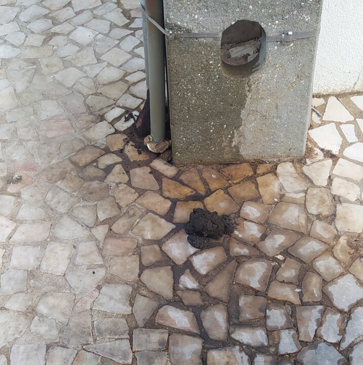 461403481_10223692912862134_815322635173491534l5_n