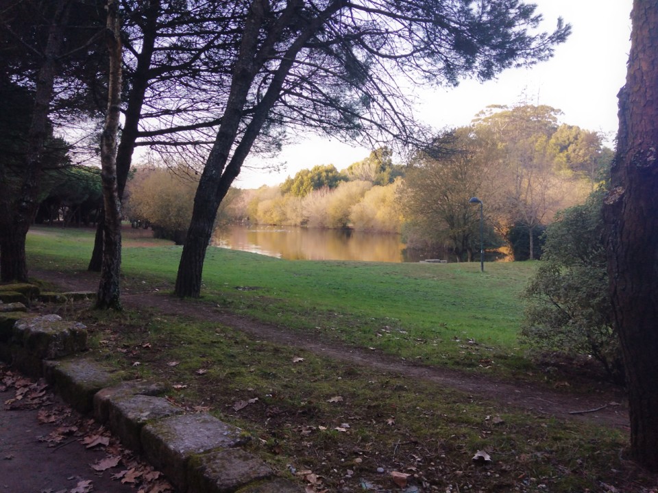 ParqueDaCidade18-12-2021-11.jpg