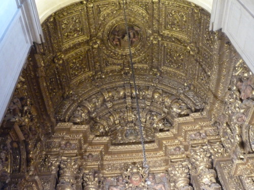 Sé Nova, capela de S. Tomás de Vila Nova tecto.J Sé Nova, capela de S. Tomás de Vila Nova tecto.J