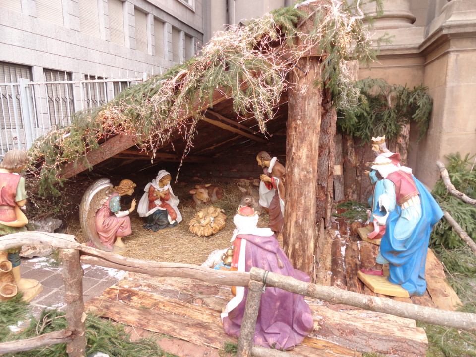 DSC08838.JPG