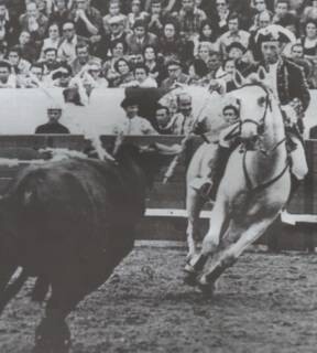 Joao Nuncio faena.jpg