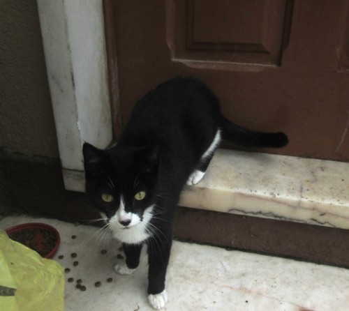 IMG_5225.JPG IMG_5225.JPG