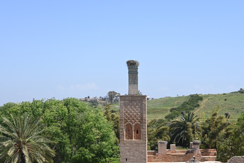 Não me canso disto RAbat3.JPG