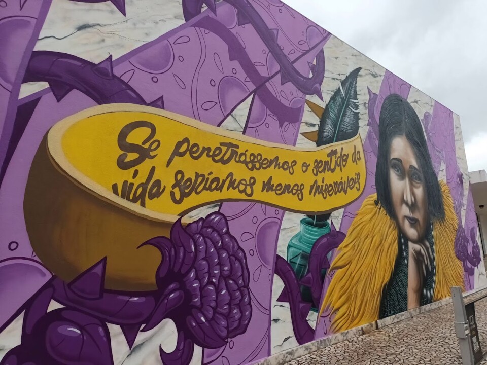 Não me canso disto Vila Viçosa 6.jpg