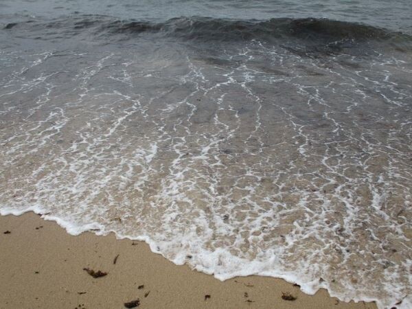 293141531_5191674350947828_2779200906106324238_n.j