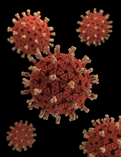 virus.jfif