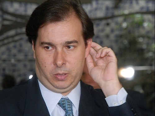 Pulga atrás da orelha.jpg