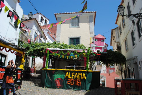 DSC_0466.JPG