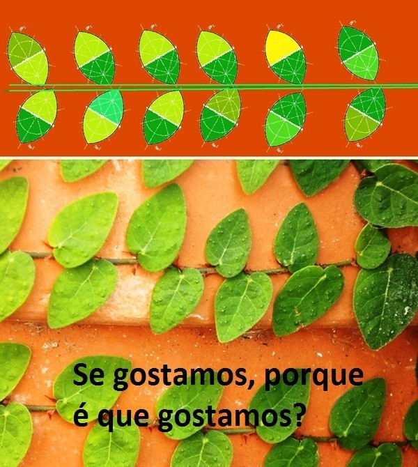 geométrico-e-natural.jpg